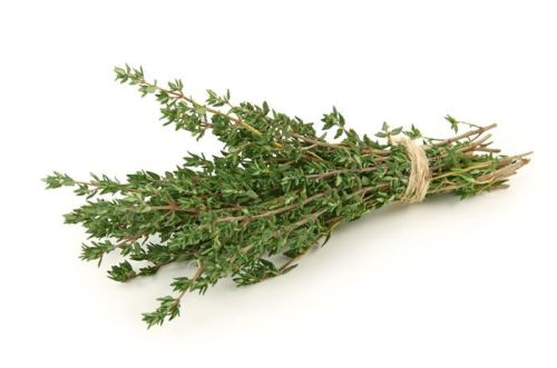 THYME (Bunch)